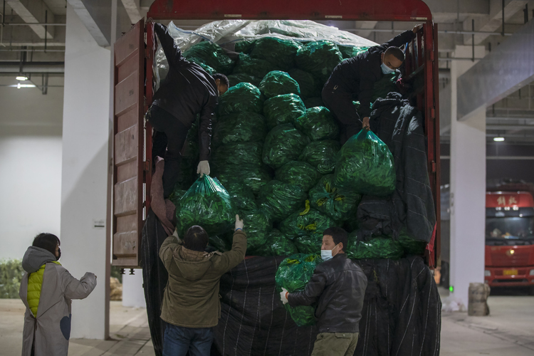 菜来啦！渭南市连夜组织45万箱蔬菜陆续送往西安_fororder_WechatIMG8