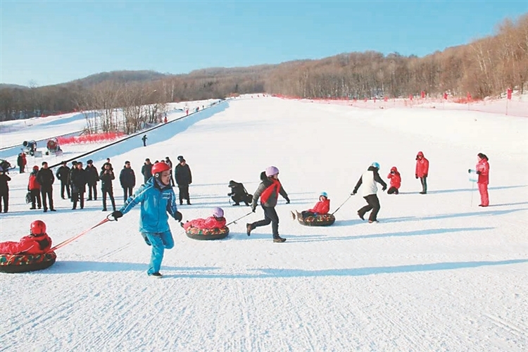 双鸭山：八方来客共享“冰雪盛宴”