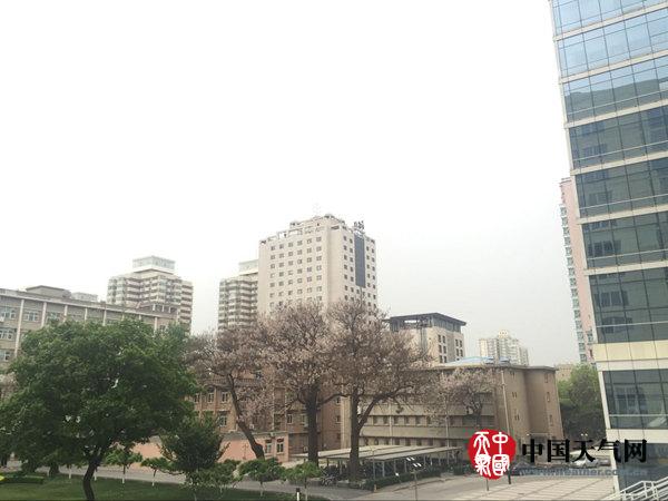 北京今天将迎降雨 气温较昨天下滑最高不足20℃