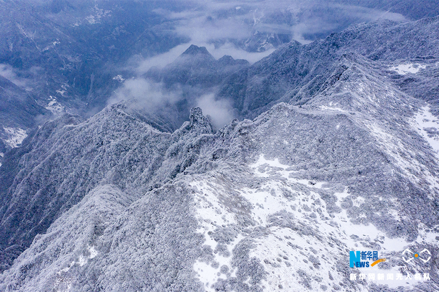 【城市远洋带图】重庆巫溪：冰雪奇缘秘境红池 这里的雪过分美丽