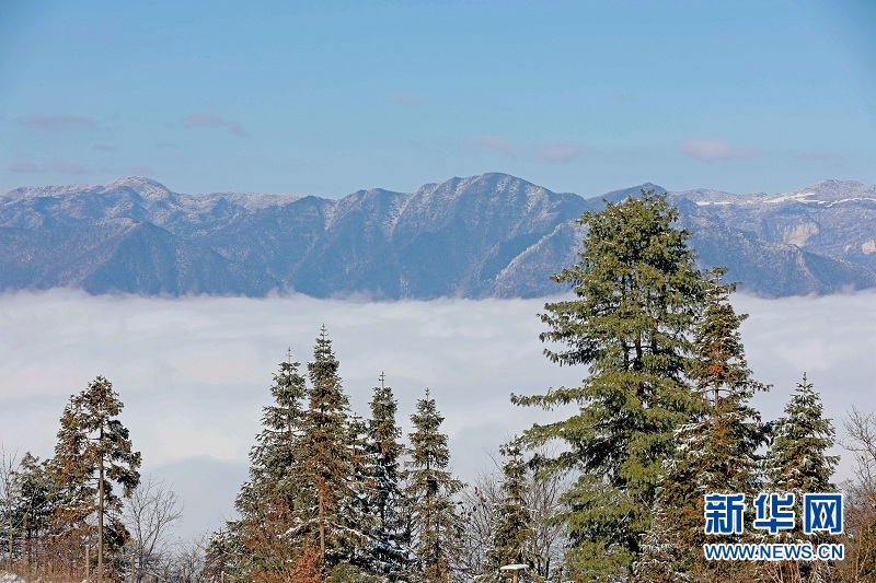 武陵山腹地邂逅云海雪原