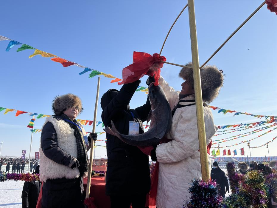 Winter Fishing on Chagan Lake in Songyuan City: Reappearance of the Spectacular Scene of "Pulling Heavily Laden Nets of Fish Out of Frozen Lake"_fororder_图片 2