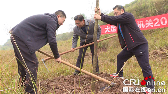 已过审【区县联动】大足区回龙镇开展“三城同创”义务植树活动【区县联动　列表】大足回龙镇开展“三城同创”植树活动