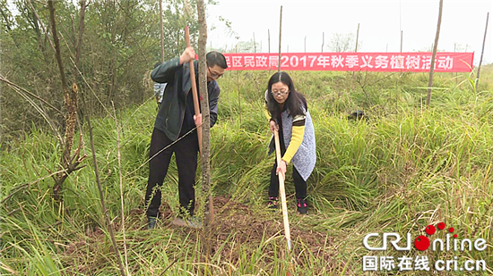 已过审【区县联动】大足区回龙镇开展“三城同创”义务植树活动【区县联动　列表】大足回龙镇开展“三城同创”植树活动