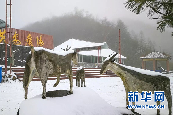 【区县联动】【城口】城口县黄安坝开启冰雪童话模式