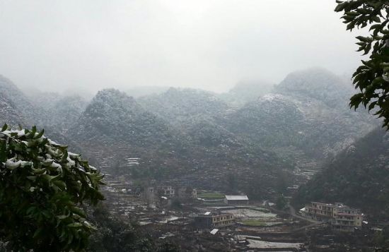 山中天峨 不一样的冬日芬芳