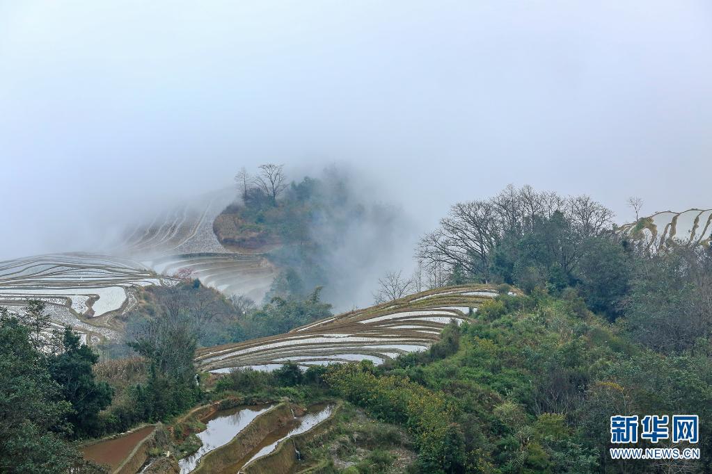 云南红河哈尼梯田：云雾缭绕似仙境