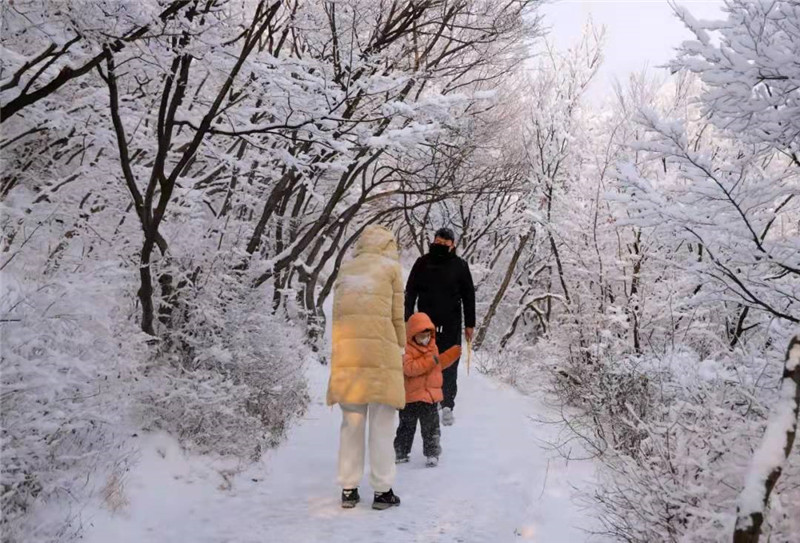 河南云台山景区迎来2022年首场大雪_fororder_微信图片_20220105122443