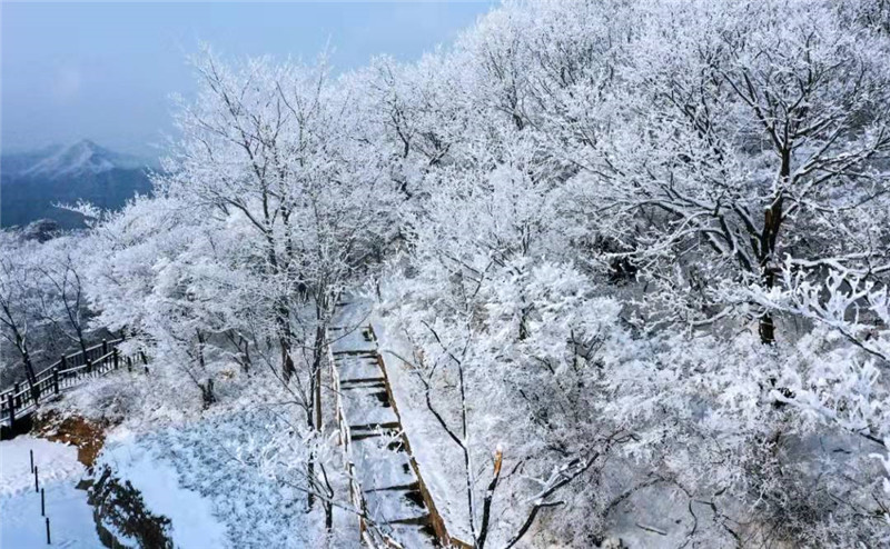 河南云台山景区迎来2022年首场大雪_fororder_微信图片_20220105122455