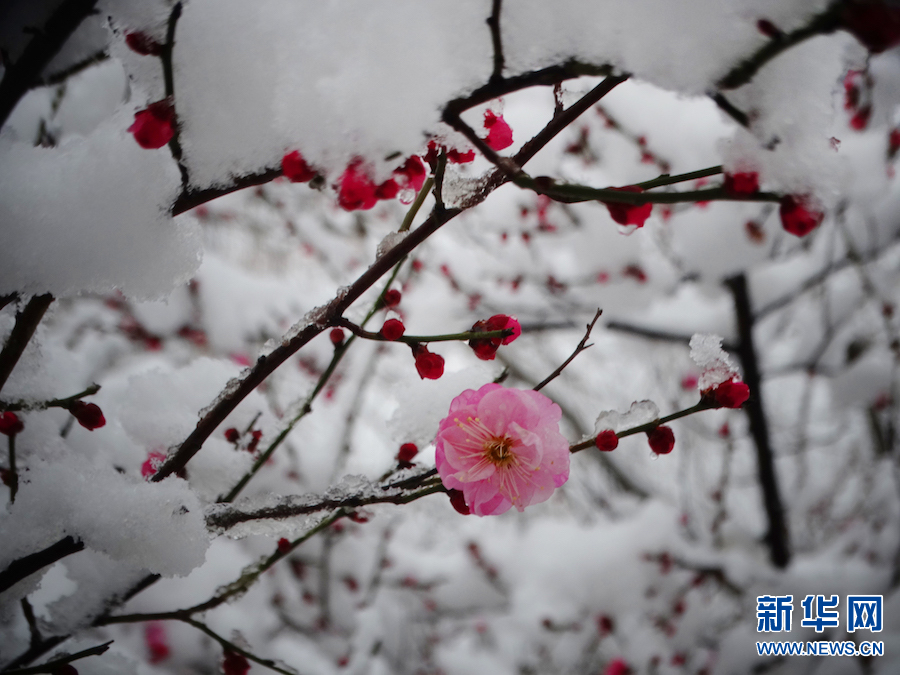 雪后汴京 景色迷人