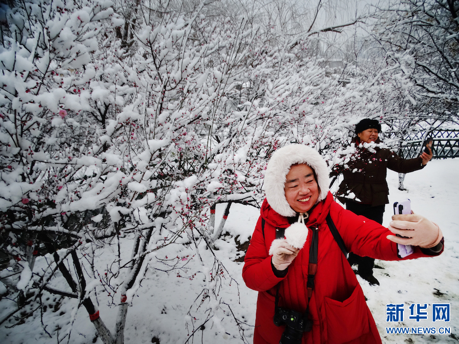 雪后汴京 景色迷人