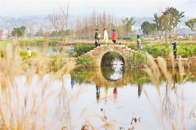 【城市远洋】重庆广阳湾精心绘制现代巴渝版“富春山居图”