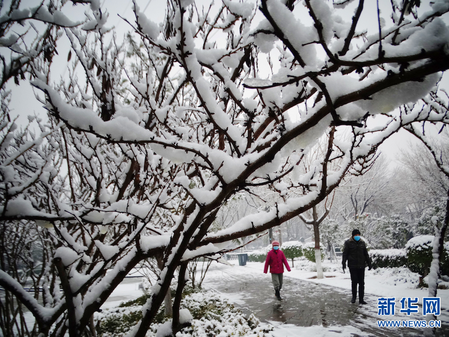 雪后汴京 景色迷人