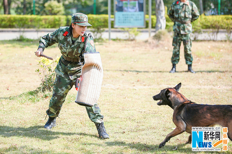 湖南卫视《奇兵神犬》杨烁张馨予特警救援挑战自我