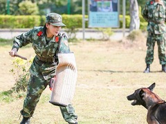 湖南卫视《奇兵神犬》杨烁张馨予特警救援挑战自我