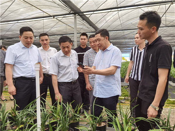 宁德：蕉城区与屏南县两地新阶联开展交流学习活动