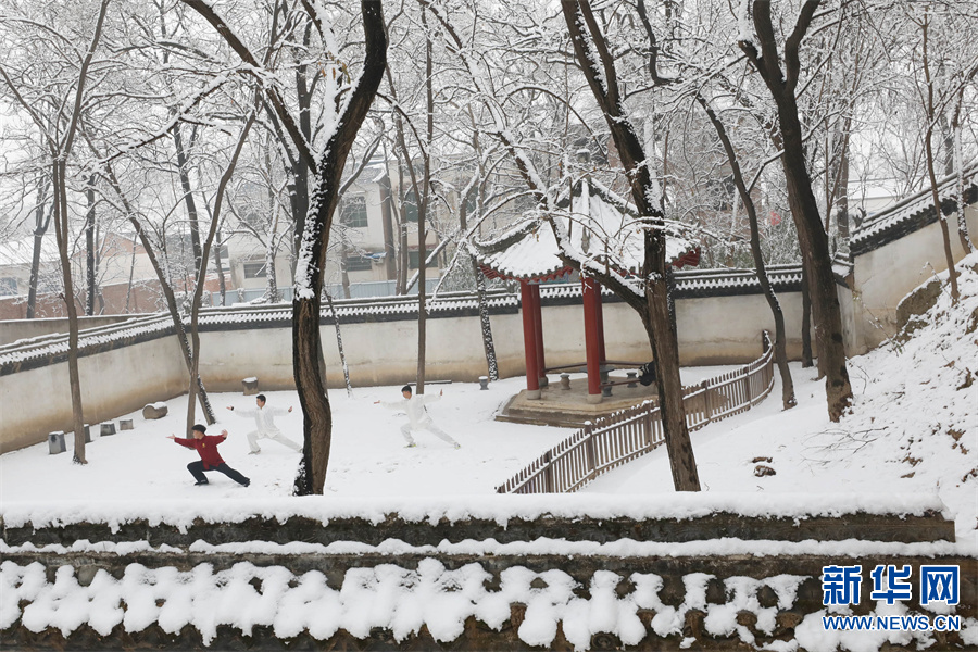 河南温县：雪后陈家沟