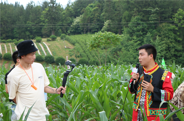 【B】恩施梭布垭景区举行“云上土豆节” 日销高山土豆300吨