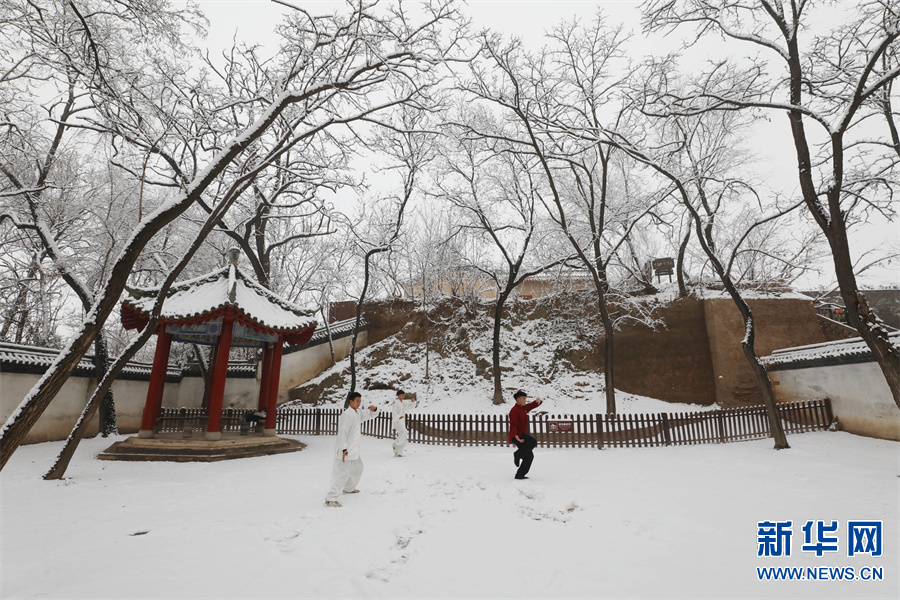 河南温县：雪后陈家沟