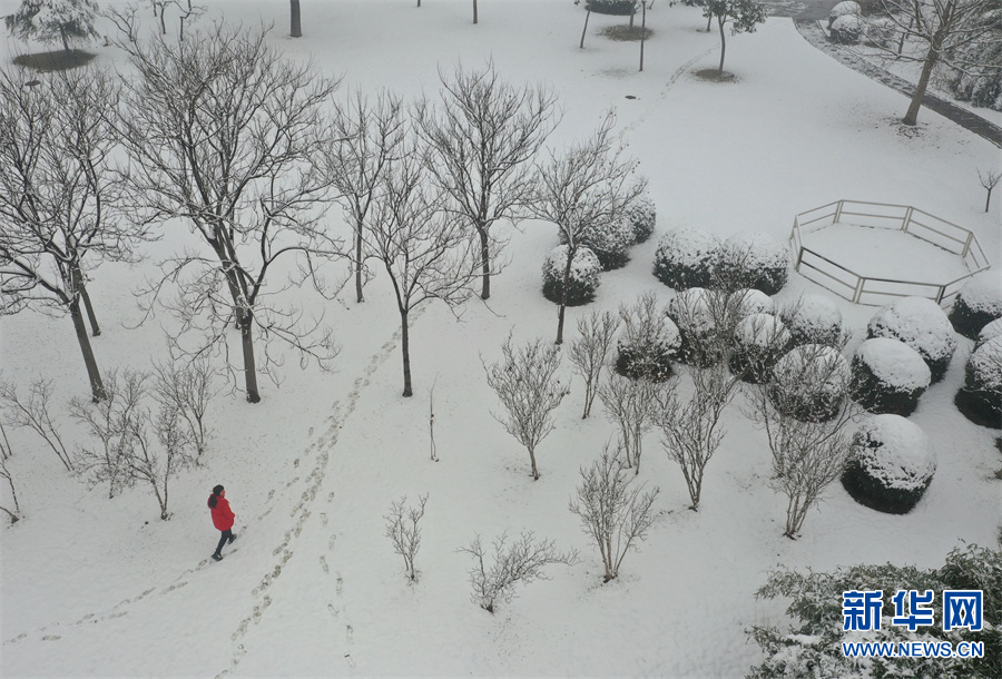 河南温县：雪后陈家沟