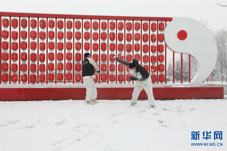 河南温县：雪后陈家沟