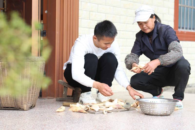 广西金秀：冬笋俏市场 富民助增收