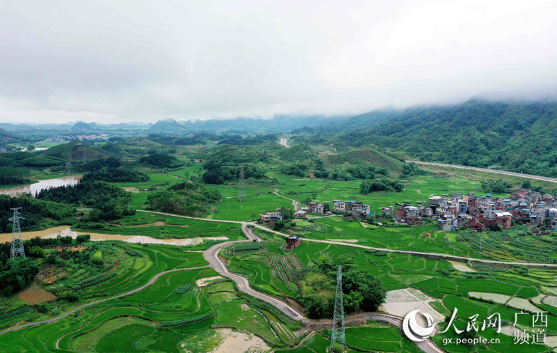 广西：夏日田园风光好