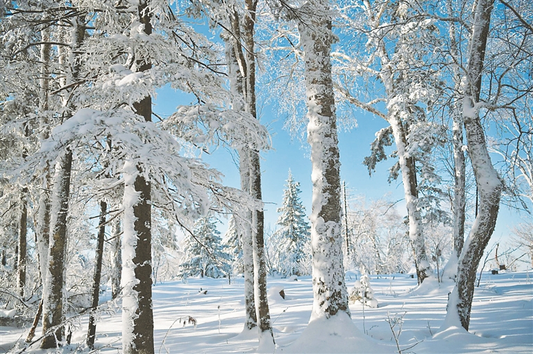 亚雪公路冰雪画廊美不胜收