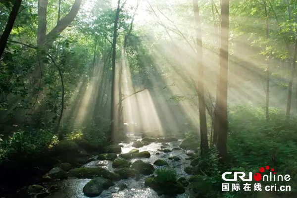 【原创待审】2019中国美丽乡村休闲旅游行夏季精品路线明天即将揭晓（焦点图）