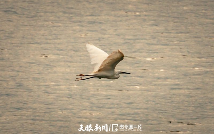 （中首）黔西南望谟：红水河江水清清悦近人