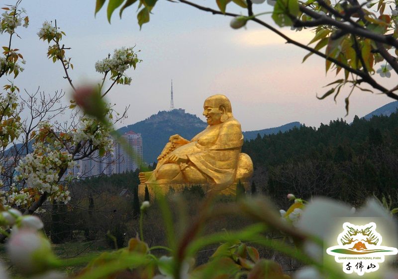 泉城济南的另一标志性景观 从千佛山到佛慧山