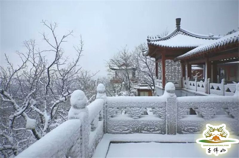 泉城济南的另一标志性景观 从千佛山到佛慧山