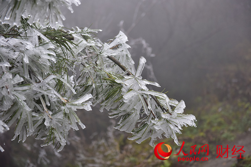 南岳衡山出现雾凇 游客纷至沓来