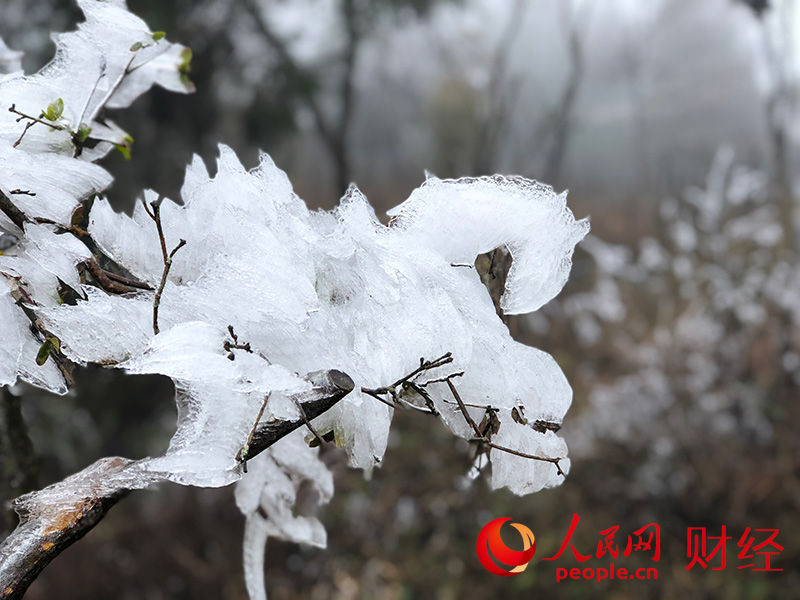 南岳衡山出现雾凇 游客纷至沓来