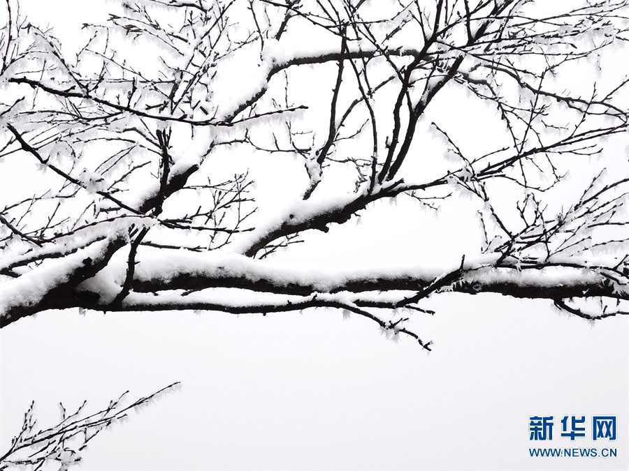 平顶山尧山：雪后峰林白 山深景色美