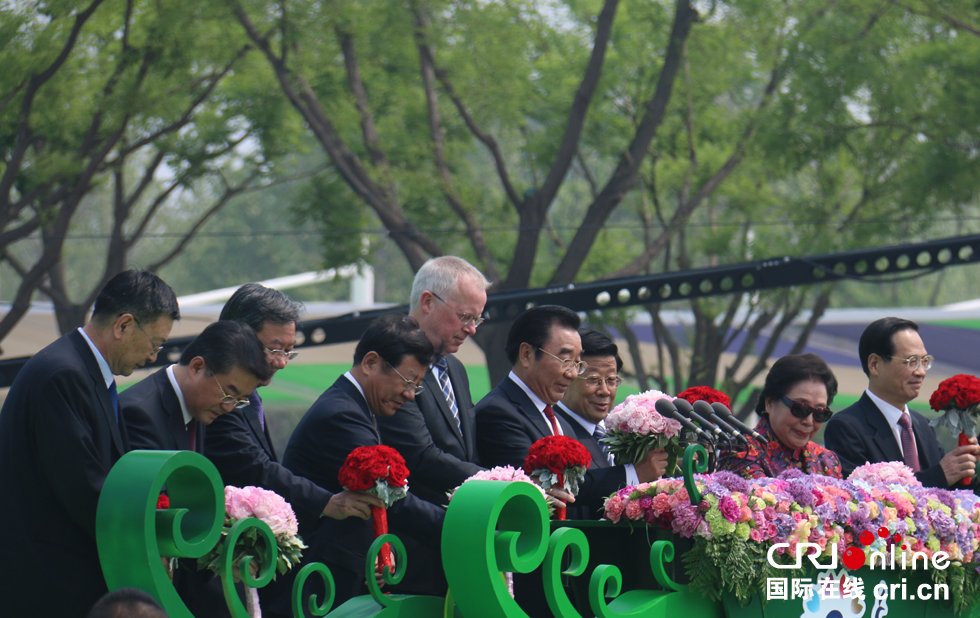 图片默认标题