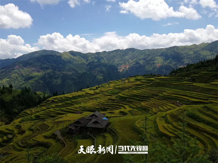 （中首）贵州持续打造国家级“生态名片” 饱蘸绿意绘山河