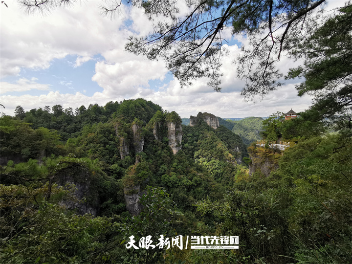 （中首）贵州持续打造国家级“生态名片” 饱蘸绿意绘山河