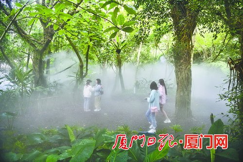 厦门园林植物园美景“上新”