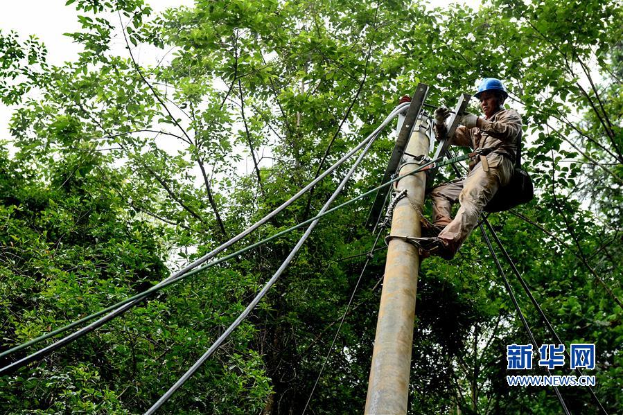 【焦点图】【南平】福建武夷山：众志成城抗洪救灾