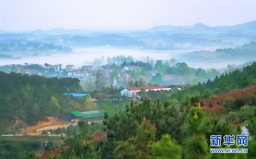 初夏陈田村 古朴宁静风景如画