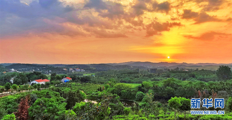 初夏陈田村 古朴宁静风景如画