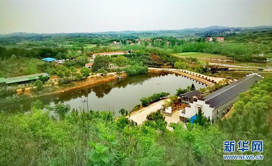 初夏陈田村 古朴宁静风景如画