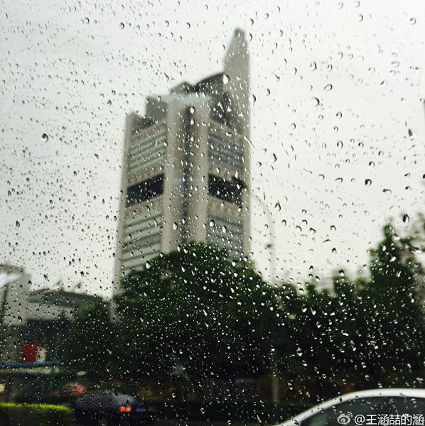 东北多地迎今年最强降雨 南方雨水难休