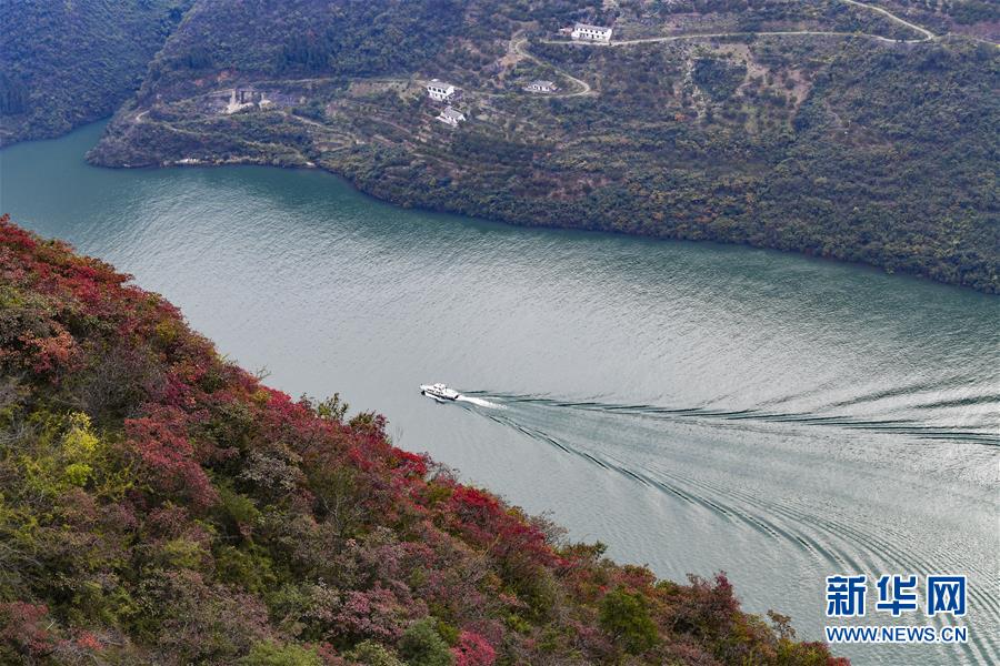 【聚焦重庆】待到满山红叶时 ——三峡重庆库区践行新发展理念面面观