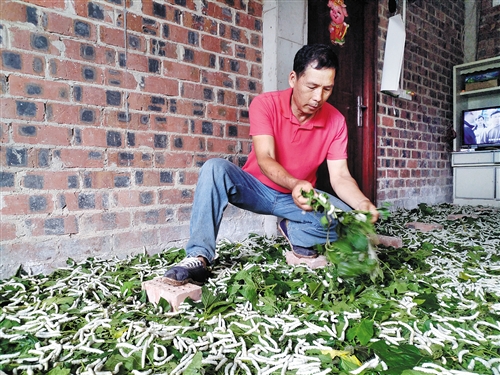 自强不息挺直人生脊梁 奋斗不止带富一方百姓