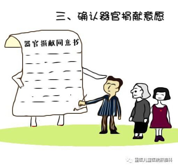 【社会民生】一组漫画看懂器官捐献过程