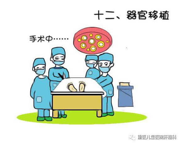 【社会民生】一组漫画看懂器官捐献过程