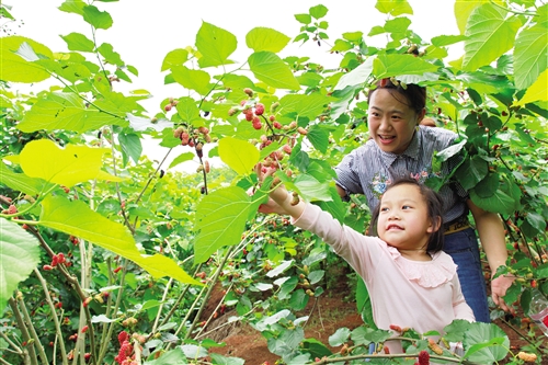 南宁邕宁区创建广西特色旅游名县：壮乡福地 生态邕宁