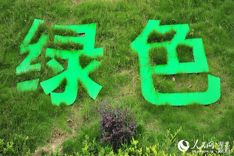 夏日茶乡风景美